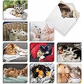 The Best Card Company - 20 Assorted Boxed Thank You Note Cards with Envelopes (4 x 5.12 Inch) - Teddy Cat AM2821TYG-B2x10