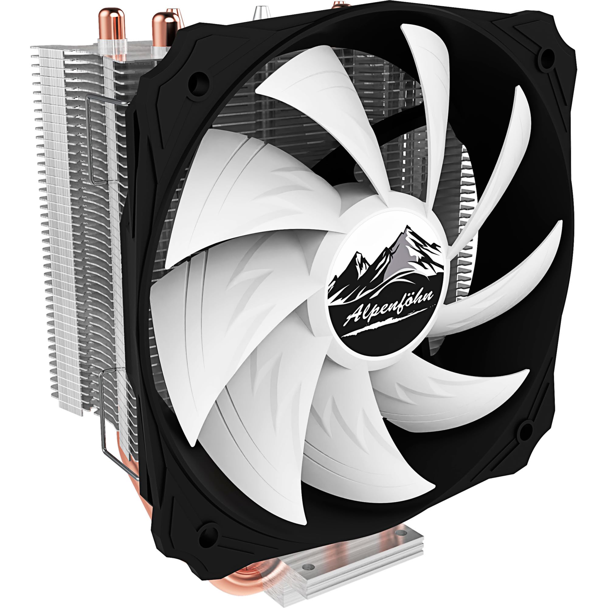 Alpenföhn Ben Nevis