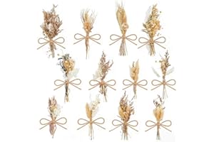 AHANDMAKER 12pc Dried Boho Flowers 12 Styles Natural Decor Bundle for Wedding Boutonniere Bridesmaid Gifts Home Vase Crafts T