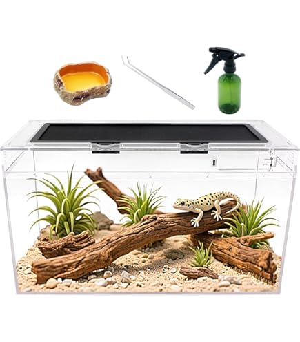 Reptile Growth Reptile Plastic Terrarium,16