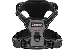 BARKBAY Dog Harness No Pull for Small Dogs - Adjustable, Reflective, Comfortable, No Choke, Heavy-Duty - Perfect for Outdoor 