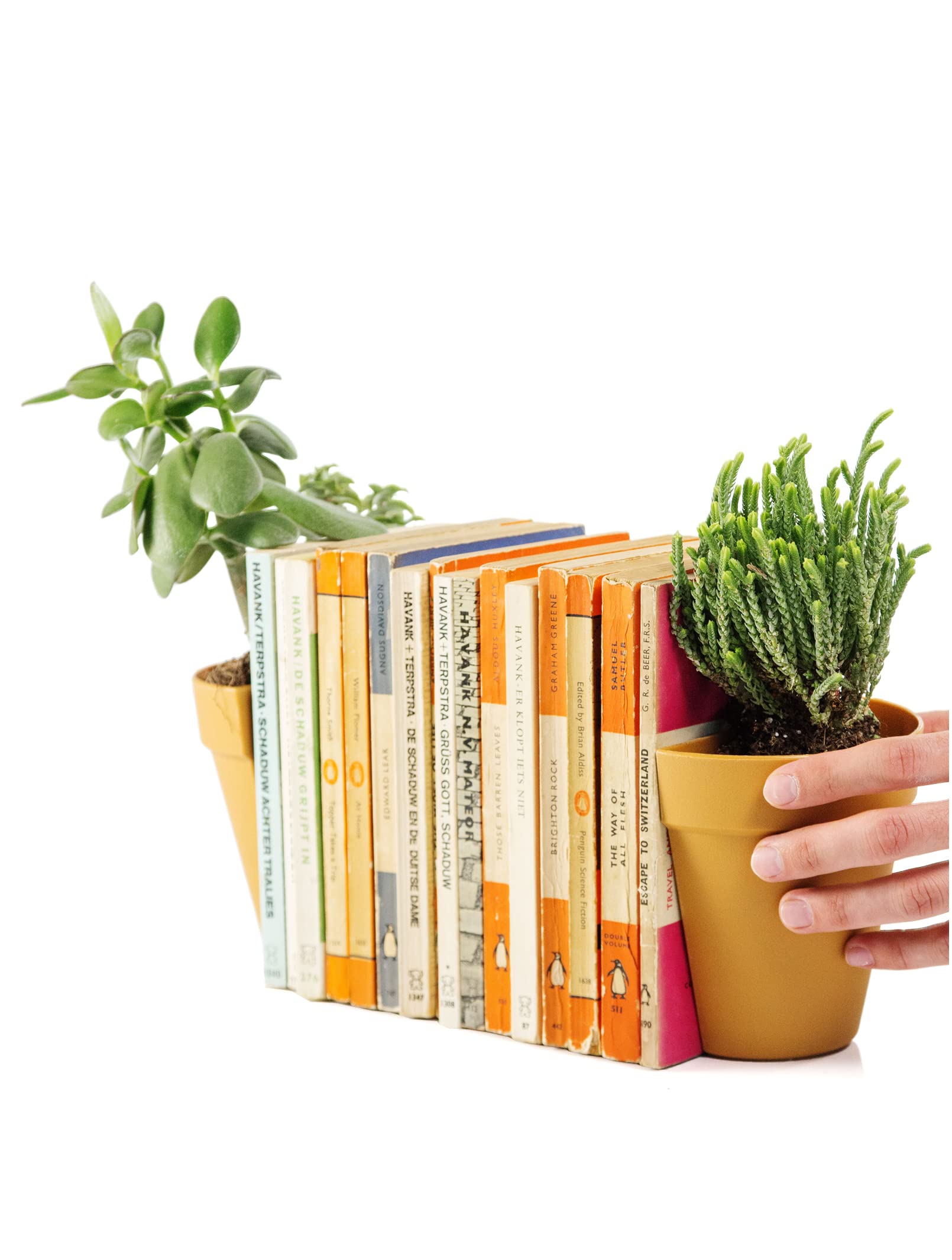Suck UK Bookends | Plant Pot Book Ends | Book Ends For Shelves Quirky | Decorative Kitchen Bookends | Novelty Plant Pot Holder | Home Library Accessories | Funny Indoor Flower Pot Gift | Set of 2
