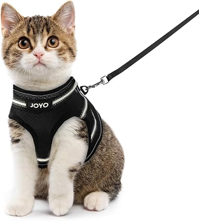 step in cat harness