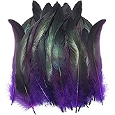 LUORNG 50PCS Colorful Rooster Tail Feathers Purple 20 to 25cm Coque Used for Stage Performance Mardi Gras Masquerade Mask Headdress DIY Decoration Material Teaser Toys Bulk Feathers
