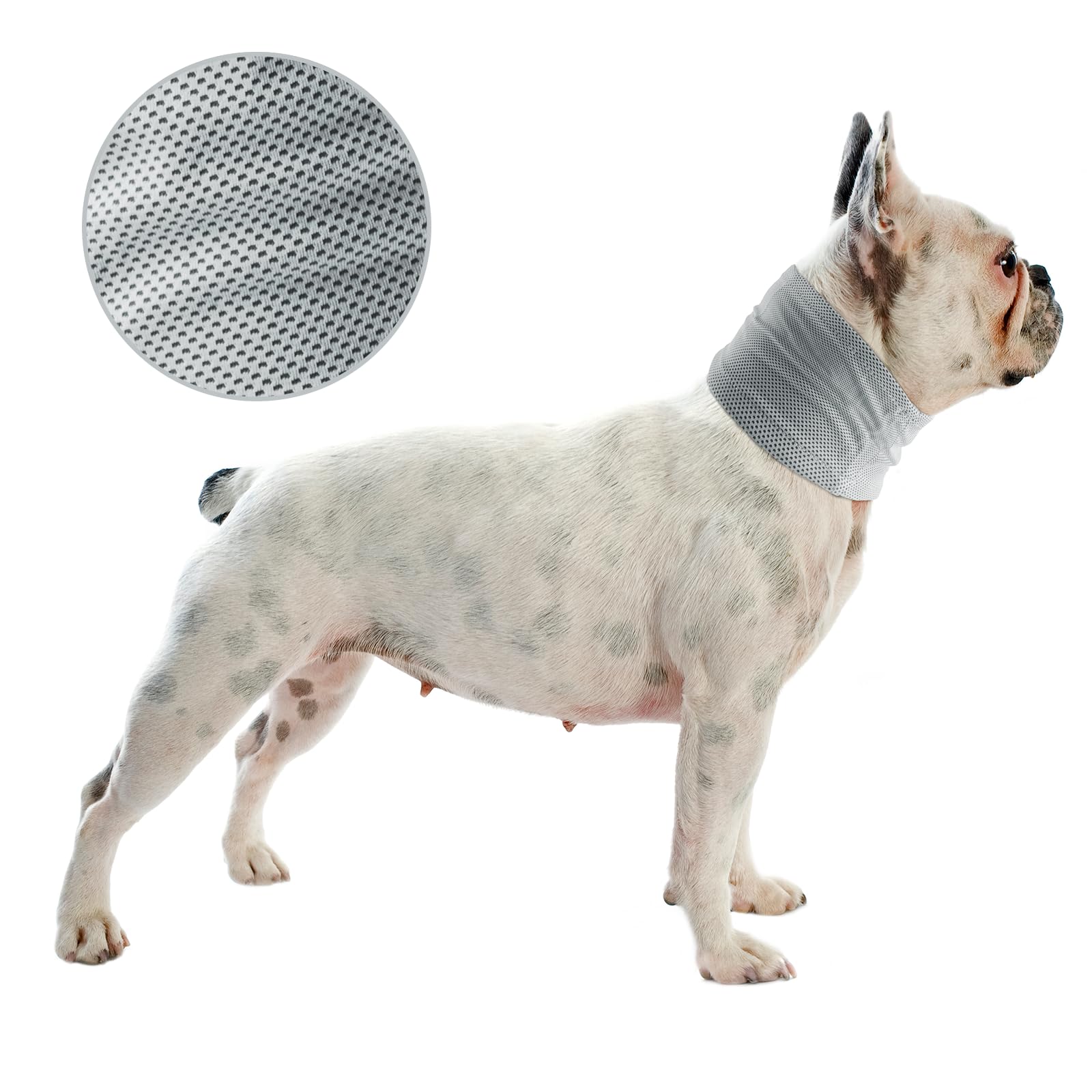 Photo 1 of DELIFUR Dog Instant Cooling Bandana Pet Breathable Scarf Cats Ice Collar for Summer (Grey, M)