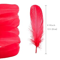 100PCS Natural Goose Feathers Decoration - Assorted