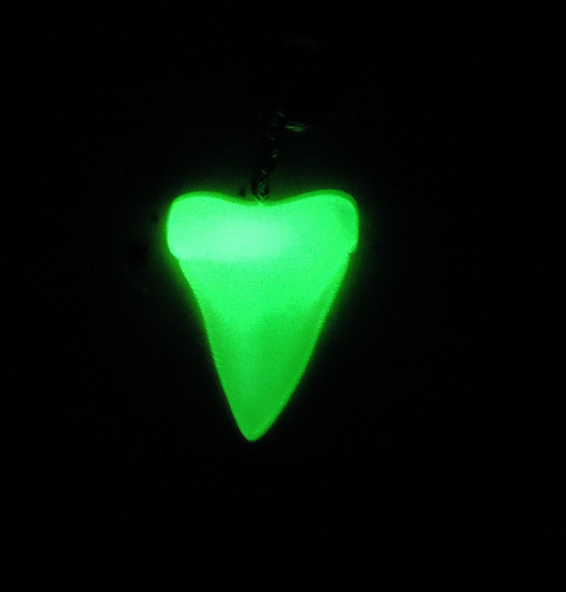 Great White Sharks Tooth Replica Keychain, Glow in the Dark!!