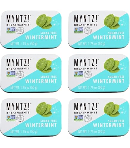 Amazon.com : Myntz Sugar Free Mints in a Tin, Wintermint 4 Pack