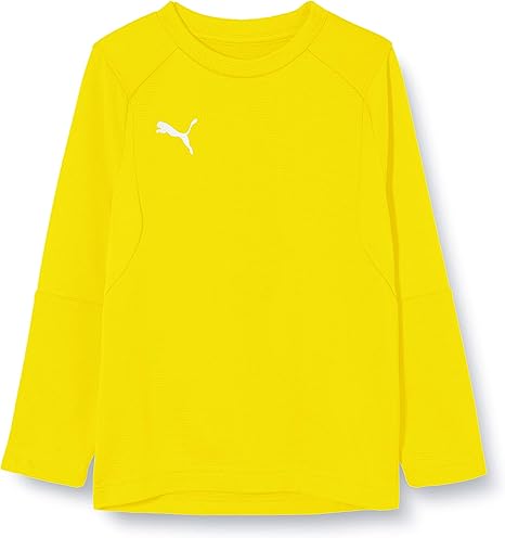 puma liga training sweat