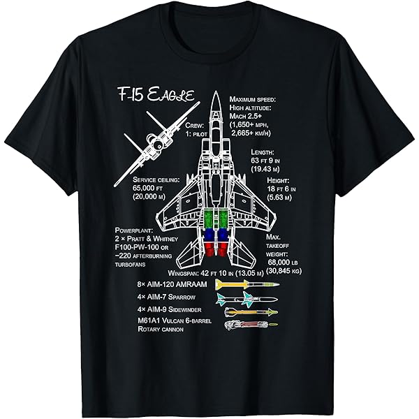 Amazon.com: American Aircraft Stealth Fighter F22 Raptor Blueprint