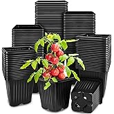 Anyumocz 100Pcs Square Plant Nursery Pots,3.5 Inch Plastic Pots with Drainage Holes,Reusable Seed Starter Pots for Flowers,Vegetables,Garden Planting,Transplanting,Succulents,Cuttings(Black)