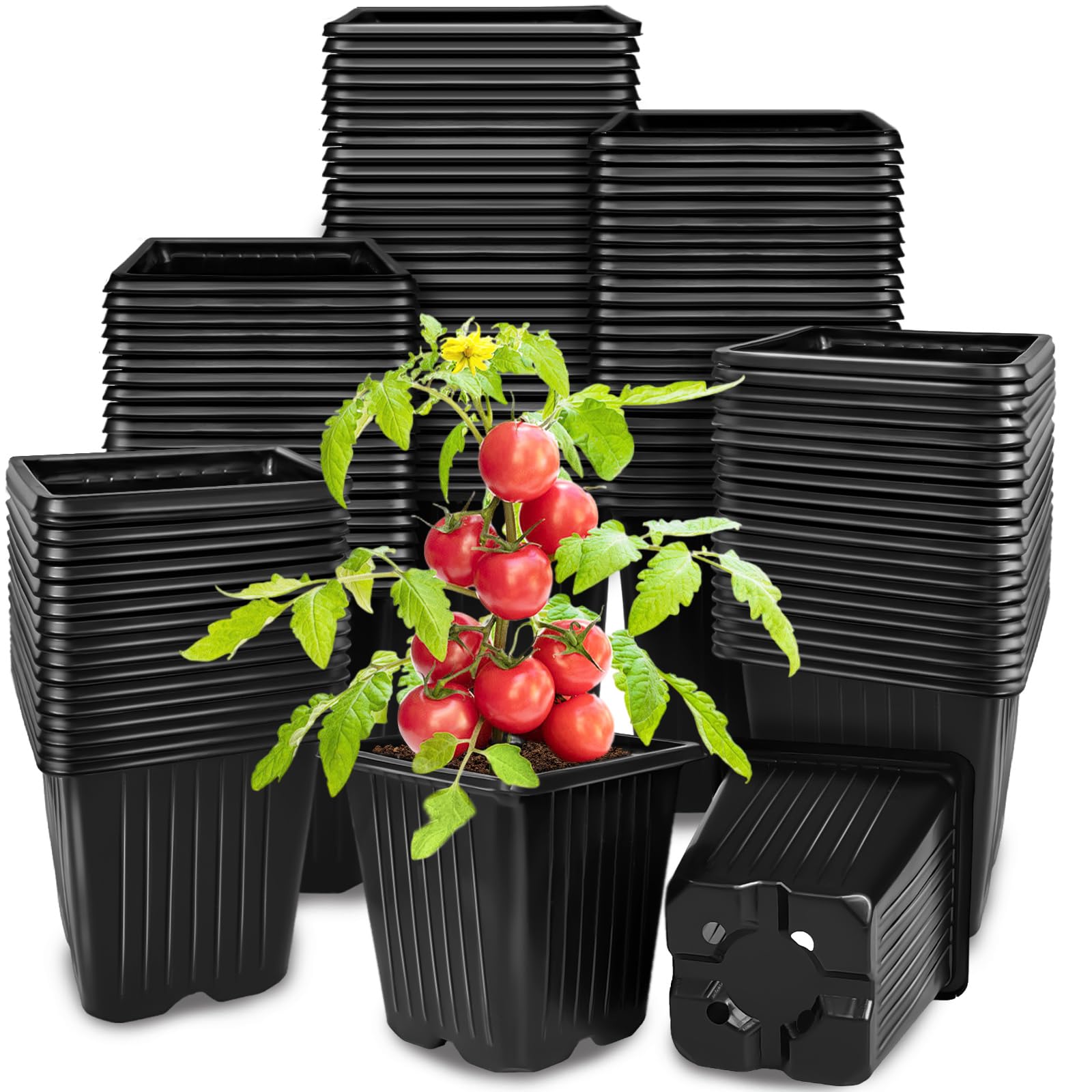 Photo 1 of Anyumocz 100Pcs Square Plant Nursery Pots,3.5 Inch Plastic Pots with Drainage Holes,Reusable Seed Starter Pots for Flowers,Vegetables,Garden Planting,Transplanting,Succulents,Cuttings(Black)