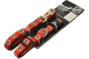 Silver Paw Hunter NHL HAPC0544 Calgary Flames Collar and Leash Set for Pets, Large