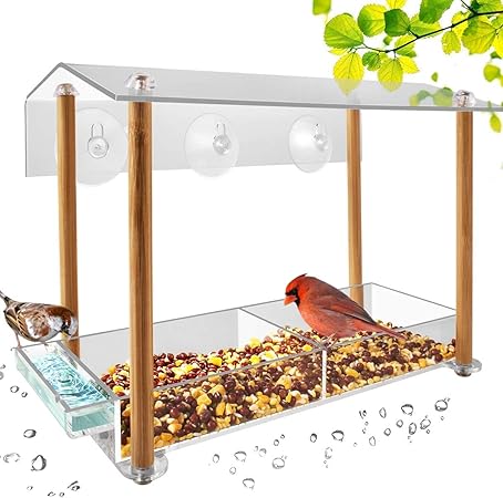 Amazon Com Bird Feeder Strong Large Size With Suction Cups