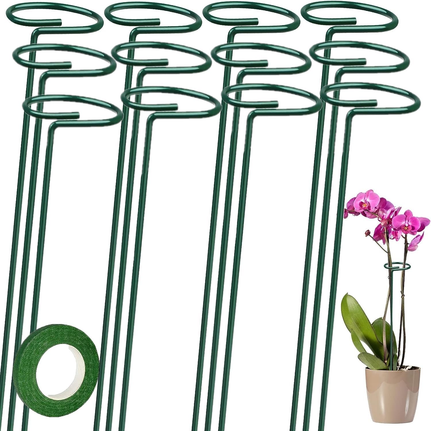 LATERN 12Pcs Plant Support Stakes, 40CM Single Stem Support Stake 6CM Diameter Plant Cage Support Ring with 25m Green Tape for Flower Amaryllis Lil Rose Peony Tomato