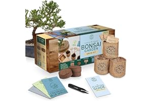 · GARDEN REPUBLIC · Garden Republic Medium Bonsai Tree Kit, Grow 3 Mini Bonsai Trees, Indoor Plant Growing - Starter Kit with Seeds, Soil, Planters & Shears, Gardening Gifts