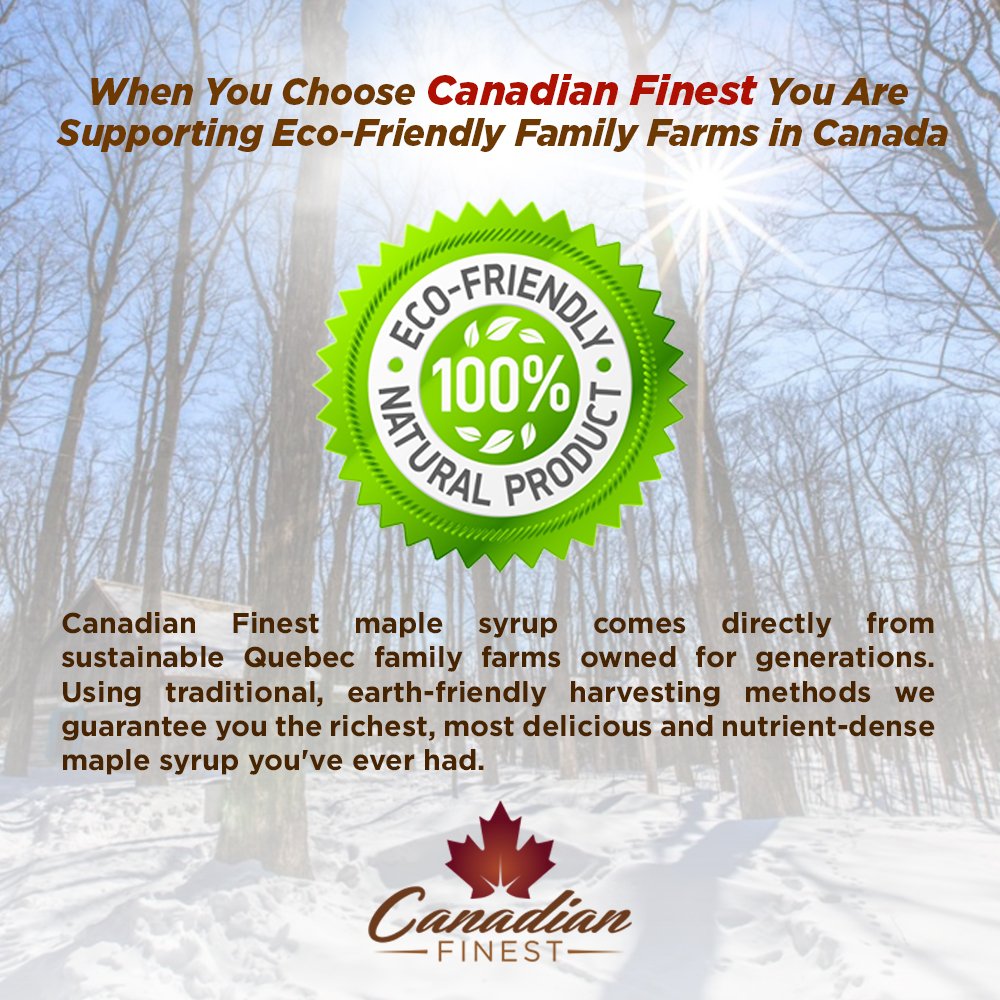 CANADIAN FINEST Maple Syrup 1 Rated Maple Syrup on Amazon 100
