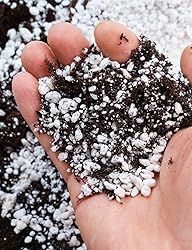 TOYPOPOR Perlite for Plants, 3-6mm Organic Perlite