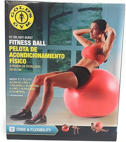 gold's gym exercise ball