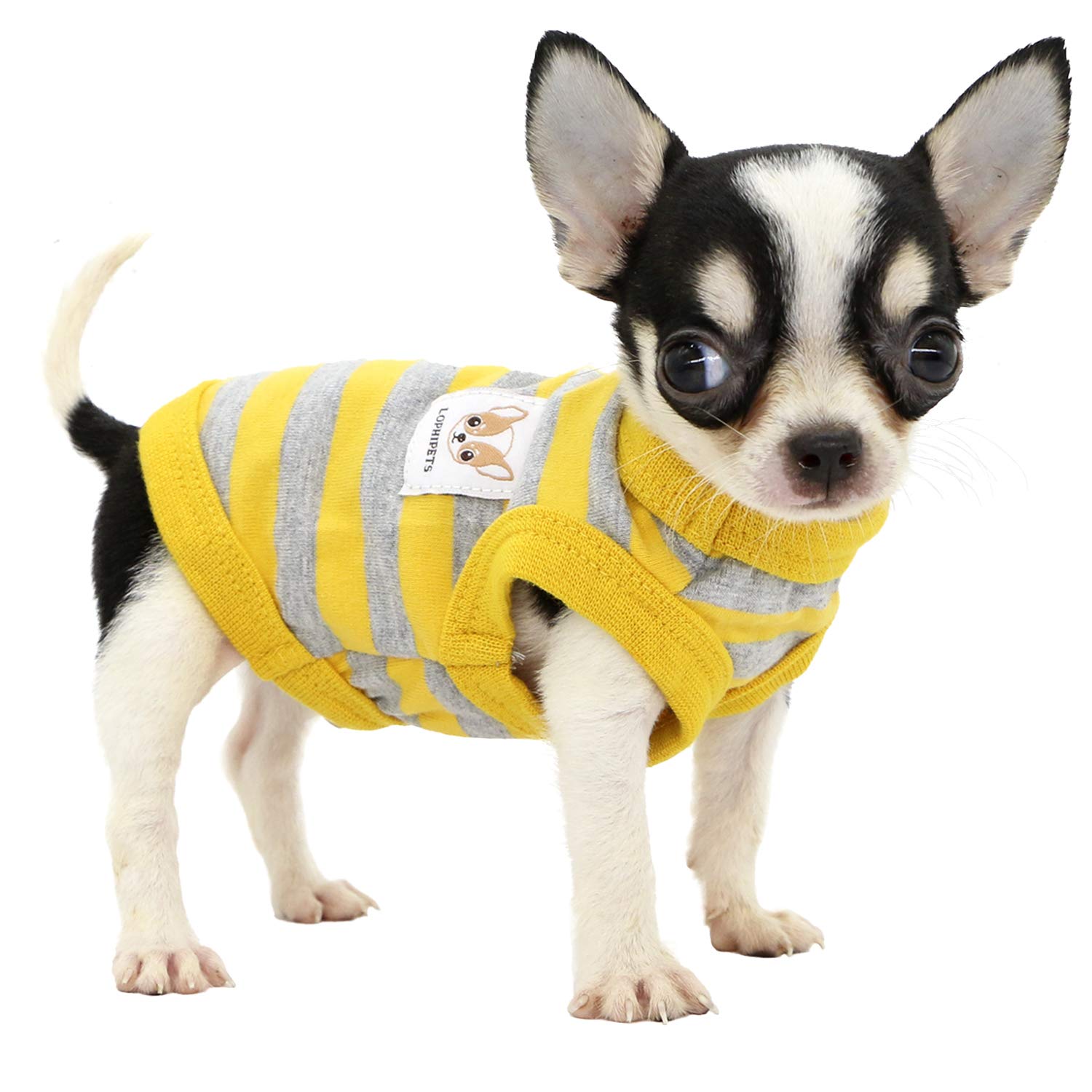 Photo 1 of LOPHIPETS 100% Cotton Striped Dog Shirts for Small Dogs Chihuahua Puppy Clothes Tank Vest-Yellow and Gray Strips/XXS