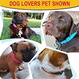 ATETEO Reflective Dog Collar Adjustable Nylon Neoprene Padding Red M 13-19.7in view 7