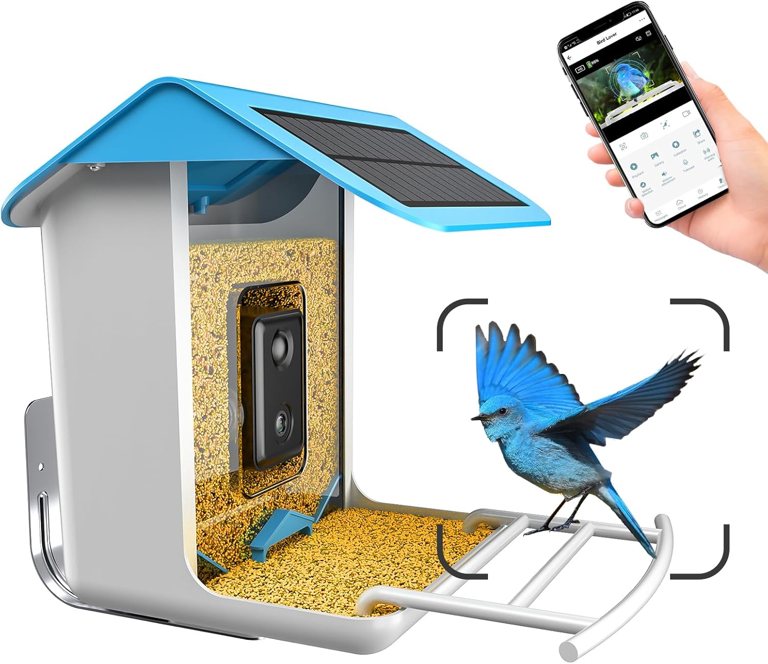 Backyard Birding & Wildlife - Farmice Bird Feeder with Camera, Smart Bird Feeder with Camera, Bird Feeder Camera Auto Capture Birds and Notify, AI Identify Bird Species
