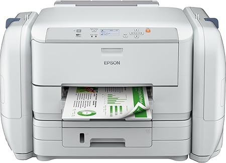 epson rips