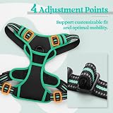 rabbitgoo Dog Harness Small No Pull Reflective Adjustable Vest Black Mintgreen view 5