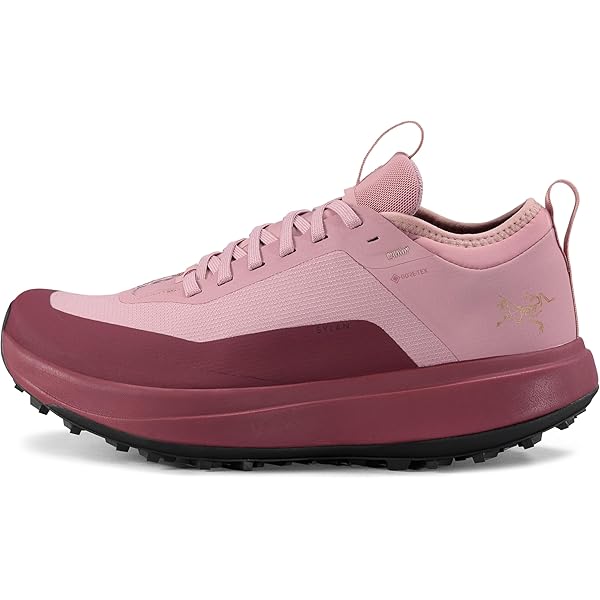 Amazon.com: Arc'teryx Norvan LD 3 GTX Shoe Women's | Long Distance