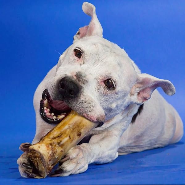 BEST BULLY STICKS MARROW BONES – 3 COUNT (PACK OF 1) – USA PACKED, HEALTHY SNACK, GRASS-FED BEEF, LONG-LASTING, GREAT FOR LARGE BREEDS