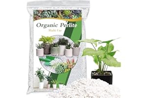 HAINANSTRY Organic Perlite for Plants, Enhances Soil Drainage and Aeration, Perfect Perlite for Plants Indoor & Outdoor, Horticultural Perlite for Gardening, Perfect for Potting Mixes, 2QT