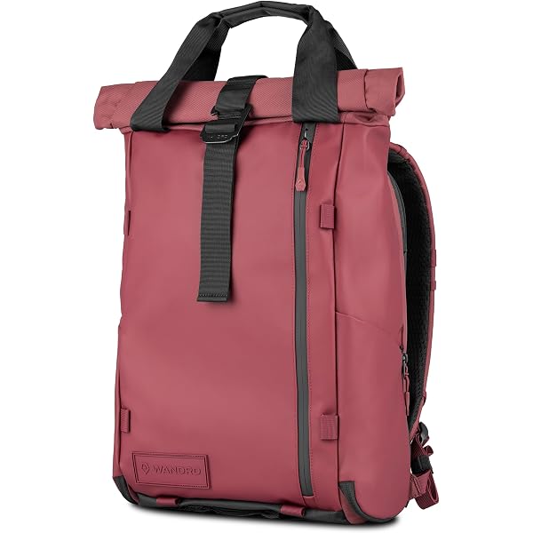 Amazon.com: WANDRD PRVKE Rolltop 21L V4 Camera Backpack