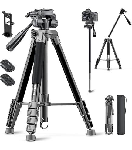 Amazon.com : Nikon AF-P DX NIKKOR 70-300mm f/4.5-6.3G ED Lens for