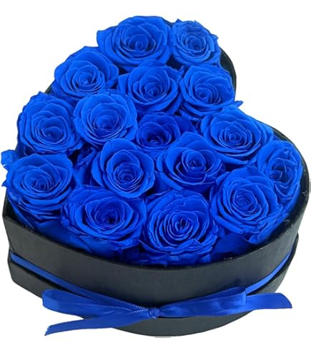 Amazon.com: Valentines Day Flowers Roses Gifts for Her,16pcs