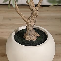 SOGUYI Olive Trees Artificial Indoor, 8 Feet Tall