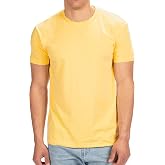 Next Level Apparel Mens N6210