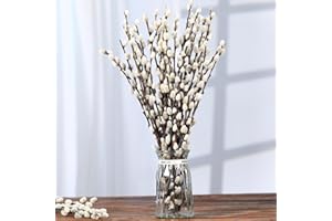 TAVKITE Natural Preserved Dried PussyWillow Branches for Vases, 30 Stems Real Willows, 17" Snow Pussywillows, Dried Flowers for Indoor and Outdoor Decor, Wedding Home DIY Floral Art Plants Fireplace