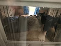 Review Image by Kelly Kelly