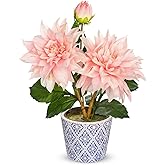 Briful Artificial Dahlia Flower in Blue and White Ceramic Pot – 13.8" Silk Dahlias Arrangement Faux Potted Dahlia Floral Centerpiece for Home Office Kitchen Dining Room Table Shelf Decor(Pale Pink)