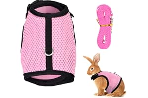 Doryum Small Animals Harness and Leash - Adjustable for Rabbit, Bunny, Pig, Ferret - Comfortable Chest Strap for Squirrel, Gu