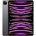2022 Apple iPad Pro (11-inch, Wi-Fi, 256GB) - Space Gray (Renewed)