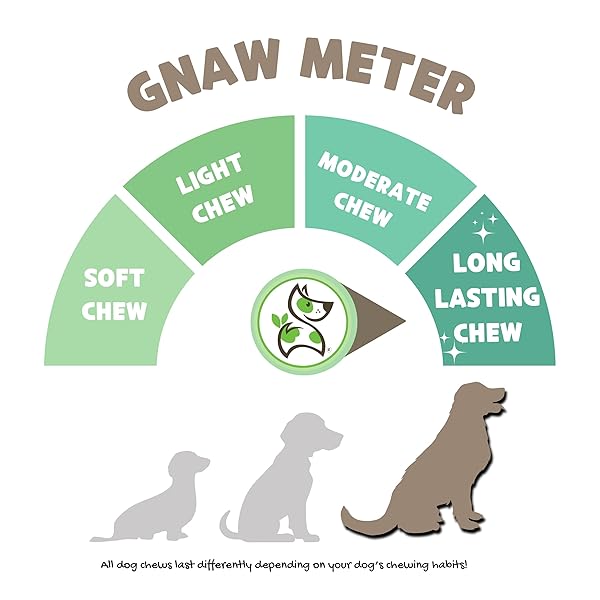 NATURE GNAWS EXTRA LARGE BULLY STICKS FOR DOGS 11-12″ (6 COUNT) – THICK LONG LASTING FOR AGGRESSIVE CHEWERS AND HEAVY CHEWERS – NATURAL BEEF DOG CHEW BONES