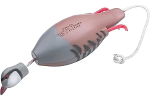 Dokken Dead Fowl Chukar Partridge Hunting Dog Retriever Trainer