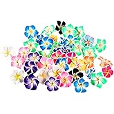 50 Pcs 12mm Assorted Colors Frangipani Flowers Charms Polymer Clay Plumeria Flower Beads Small Plumeria Flowers-Beads with Holes Flat Back Floral Charms for Jewelry Making Keychain Hair Accessories