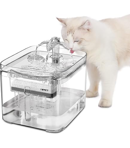 PET STANDARD Premium Wasserfilter 12er Set Für NPET WF020 Haustierbrunnen - 3-Stufen-Filtration