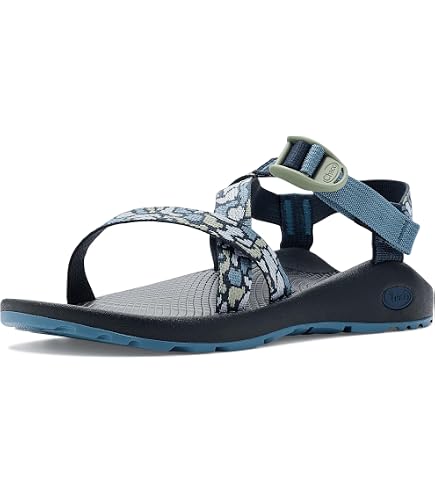 Amazon.com: Chaco Z/Cloud Aerial Rosette 5 B (M) : Clothing, Shoes