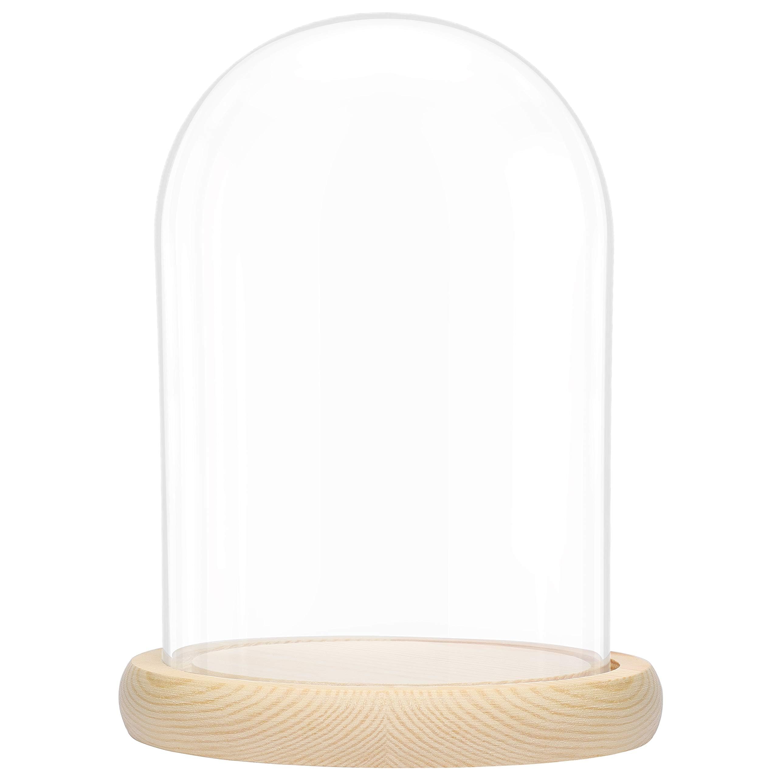 Belle Vous Large Glass Dome Cloche Bell Jar with Natural Wooden Base - 20cm/7.87 Inches - Clear Decorative Tabletop Display Case with Tray for Fairy Lights, Centrepieces and Antiques