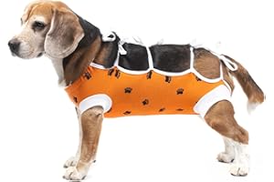 E-Collar Alternative for Cats and Dogs: After Surgey Wear. Recommended by Vets (Medium, Orange)
