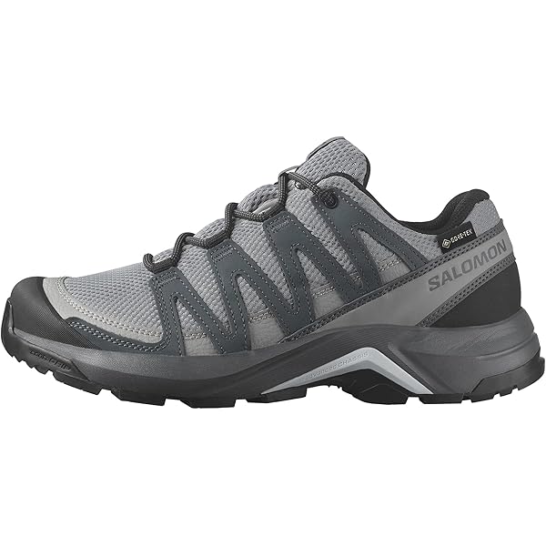 Amazon.com | Salomon X Ultra 3 Gore-Tex (waterproof) Men Trekking