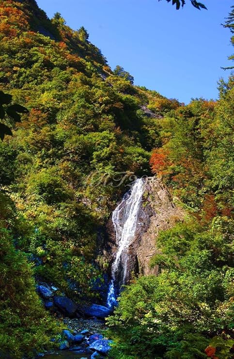 Amazon Co Jp 風景写真ポスター 福島県 磐梯町 幻の滝 紅葉が始まる季節 一本の滝がより一層大自然の風景を際立たせる 01 最高級の 素材とこだわりのプリントで再現しました A1 84 1 59 4cm ホーム キッチン